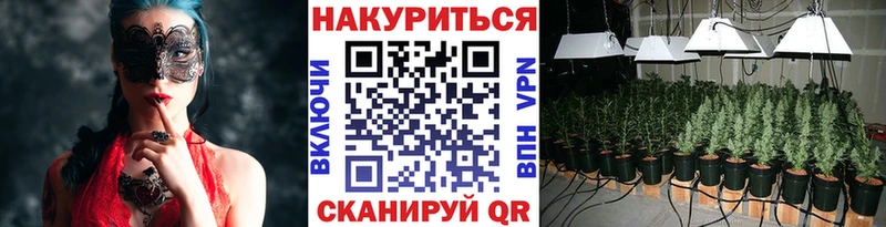 Названия наркотиков Полярный СК  Амфетамин  КОКАИН  Гашиш  Галлюциногенные грибы  блэк спрут ссылка  Марихуана  Мефедрон 