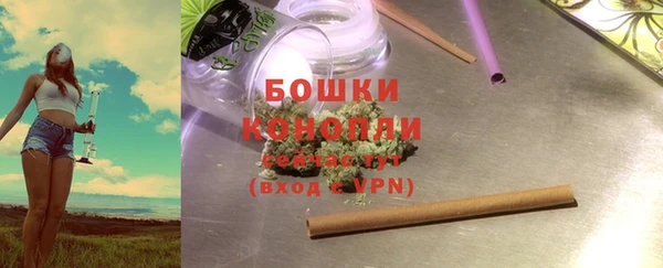 метадон Няндома