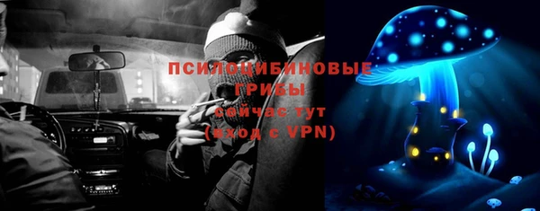 метадон Няндома