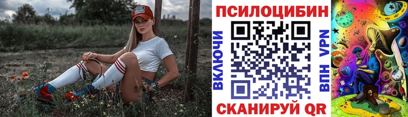 кракен маркетплейс  Полярный  Псилоцибиновые грибы Psilocybe  купить наркотики сайты 